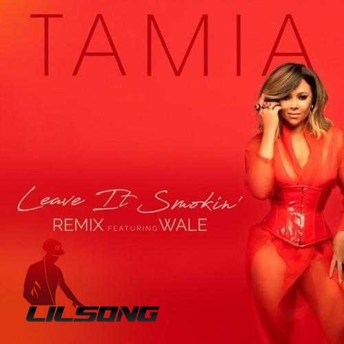 Tamia Ft. Wale - Leave It Smokin (Remix)